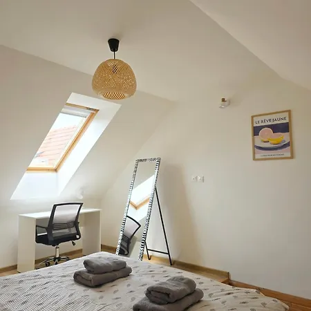 Downtown Loft Sturova Apartament